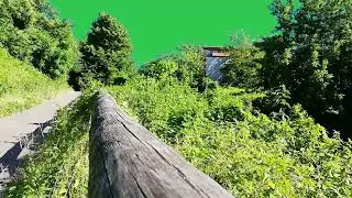 nature green screen background video