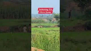 Samsung S24 Ultra Camera Zoom test #s24ultra #saqibmobile #viralvideo #shorts