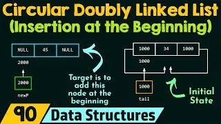 Circular Doubly Linked List (Insertion at the Beginning)