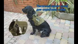 Тактичний жилет шлея для собак DTV 0002