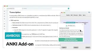 Special Features: AMBOSS Add-On for Anki