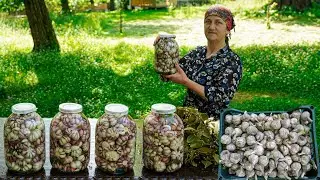 Storing Fresh Garlic collected from the harvest for the winter! How to pickle garlic in the village?