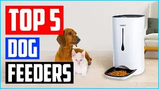 Best Automatic Dog Feeders in 2023