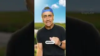 How do birds fly??