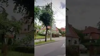 Прогулка по Бресту: Улица Леваневского