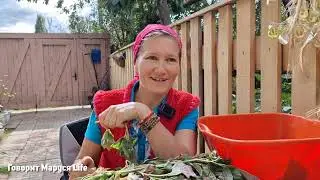 ГОРЯЩАЯ ТЕМА 🔥И в горе и в радости/ Семья, брак, любовь  5 сентября 2023