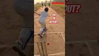 3RD Umpire Batsman LBW or Not?🤔 || Spin Bowling #cricket #shots #shorts