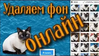 Как удалить задний фон онлайн