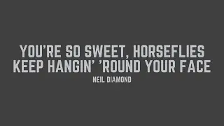 Neil Diamond - You’re So Sweet, Horseflies Keep Hangin’ ’Round Your Face (Lyrics)