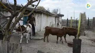 Аксу: поселок с почти вековой историей