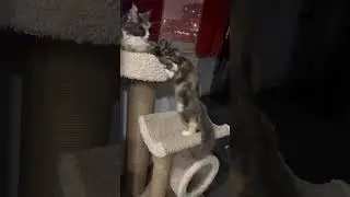 Когда выросла, но все ещё маленькая мамина девочка 😻😂 а вообще от какого покоя Маме!