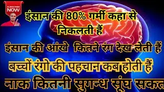 Amazing Facts  #facts  #shorts