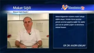 Makat Siğili Nedir?