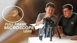 Testing Microscopic lenses for Full Frame Cameras! Here's What We Found! Laowa Aurogon