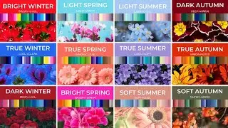 Find Your Color Season with 12-Season Color Analysis!