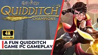 Unleash Your Inner Wizard: Harry Potter Quidditch Champions In Action!