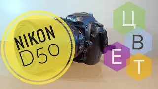 Nikon D50 в поисках идеального цвета в 2024