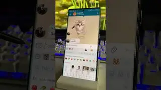 В Telegram МОЖНО делать свои стикеры 📲
