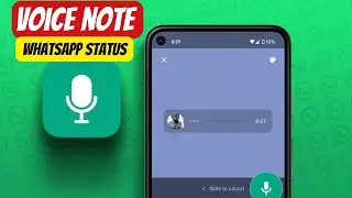 How To Send Voice Note On WhatsApp Status | iPhone