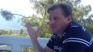 Схема продаж b2b, b2C и b2G, или сколько денег Вы пропускаете мимо себя.