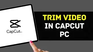 How To Trim Video in CapCut PC 2024 - Easy Guide