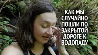 обезьяны, большие черепахи и хайкинг | самый высокий водопад | МАВРИКИЙ | Шамарель, Александра Фоллс