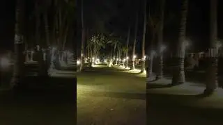 тихо в лесу, только не спит барсук, уши свои он повесил на сук, - вот и не спит барсук...