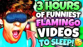 *3 HOURS* OF FLAMINGO VIDEOS TO FALL ASLEEP! (MARATHON/ROBLOX)