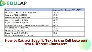 How to Extract Specific Text in the Cell between two Different Characters