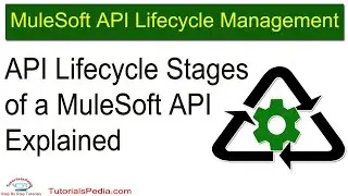 MuleSoft API Lifecycle Management | MuleSoft APIs | MuleSoft API Life Cycle Tutorial | MuleSoft APIs