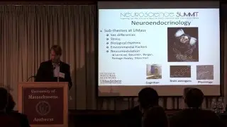 Neuroendocrinology