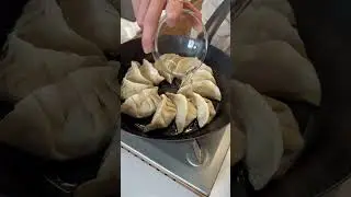 Runaway Dumplings