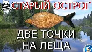 🌟СТАРЫЙ ОСТРОГ🌟ДВЕ КООРДИНАТЫ НА ЛЕЩА🌟Русская Рыбалка 4(РР4)🌟