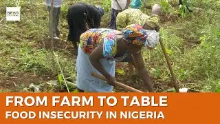 Farm To Table:  Food Insecurity in Nigeria