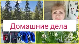 💪Домашние дела перед ночной сменой/🥒Всходят огурцы/