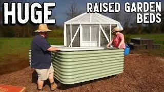 The BEST You Can Get... Birdies Raised Garden Beds