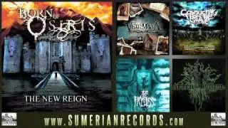 BORN OF OSIRIS - The New Reign