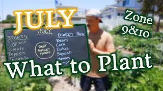 What to Plant in July & Garden Tasks for Zones 9 & 10