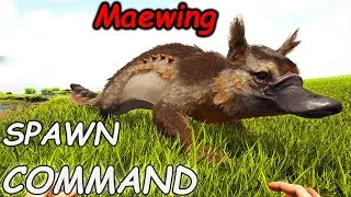 Maewing ARK Spawn Command | How To SUMMON Maewing ARK Code