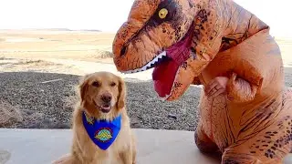 T-Rex Dinosaur Prank on Sammie!