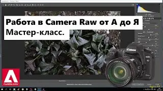 Camera Raw. Учимся работать с RAW. Базовые навыки. Всё что нужно знать для работы.