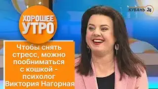 Чтобы снять стресс, можно пообниматься с кошкой - психолог Виктория Нагорная