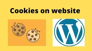 How To Add Cookies on  Fresh Wordpress Website - cookies yes