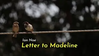 Ian Noe - Letter to Madeline (Lyrics)