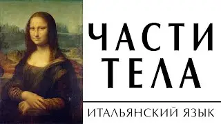 части тела на итальянском языке. Итальянский язык для начинающих. Итальянский с нуля