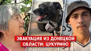 Из Цукурино - в Покровск. Как проходит эвакуация на самом горячем отрезке фронта