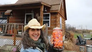 How To Ferment Carrots for Beginners!