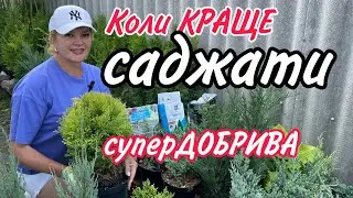 Коли КРАЩЕ саджати РОСЛИНИ.СуперДОБРИВА.