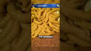 В ваших ушах могут жить личинки, но как?😨