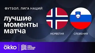 Норвегия — Словения | Лига наций. Обзор матча 3 тура